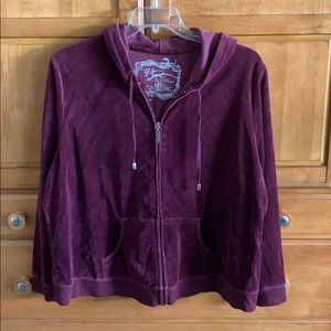 Lane Bryant Velour Jogging Suit